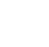 Euismod in
